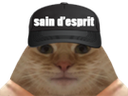 :Sain: