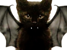 :chaton_chauve_souris: