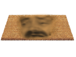 :risitas_paillasson_2: