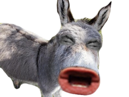 :ane: