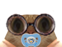 :chat_lunette_tetine: