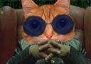 :Catrix: