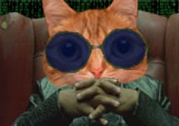 :Catrix: