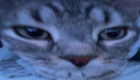 :cs_zoom2: