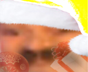 :2LoinJaune:
