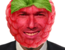 :zidane_framboise: