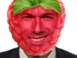 :zidane_framboise: