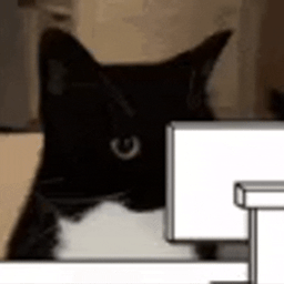 :Chatordi2:
