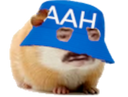 :hamster_aah: