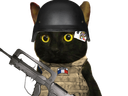 :chatSoldat: