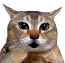 :Chat_chokextrem: