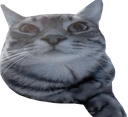 :cs_patoune:
