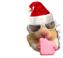 :Hamster_buche_de_noel: