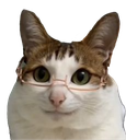 :chatlunette4: