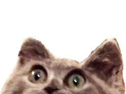 :demi_chat: