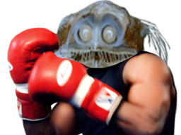:Poisson_boxe: