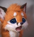 :sad_fox: