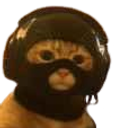 :Chat_Terro: