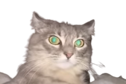 :jugement2:
