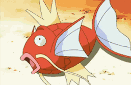 :Magicarp_gif: