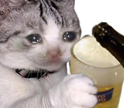 :Chat_biere:
