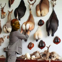 AnusFetish