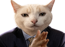 :Chatmastermind_Costard: