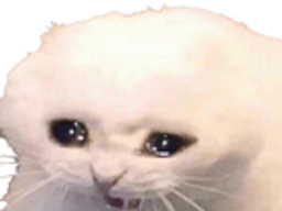 :Chatsnif: