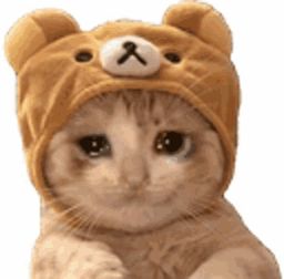 :Tristouchatte: