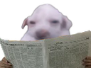 :purer3journal: