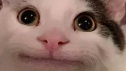 :jouhnchat: