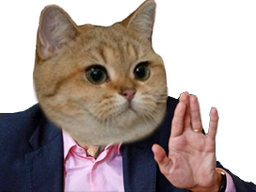 :chat_main_levee: