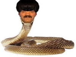 :Serpent: