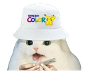 :cattoxboy2: