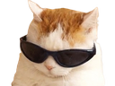 :ChatCool: