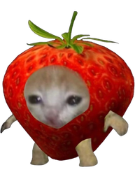 :Chat_fraise: