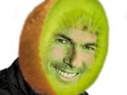 :zizoukiwi2: