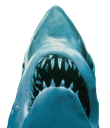 :Jaws2: