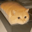 :Gateau2Chat: