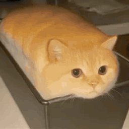 :Gateau2Chat: