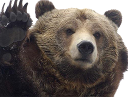 :ours1: