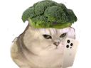 :ChatBroccoli: