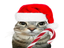 :CS_Noel: