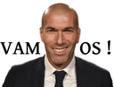 :Zizouvamos: