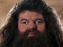 :Hagrid1: