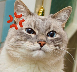 :chatangry: