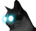 :chat_ready: