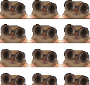 :chat_lunette_mosaique1: