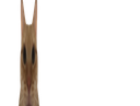 :chatmalcadre4: