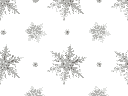 :sno: